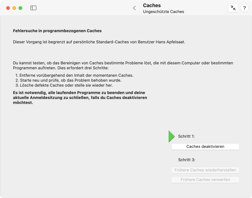 Deaktivieren Sie programmbezogene Caches ohne diese
                löschen zu müssen.
