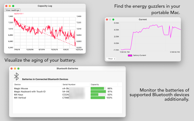 Visualize the
              aging of your battery and find the energy guzzlers in your portable Mac.