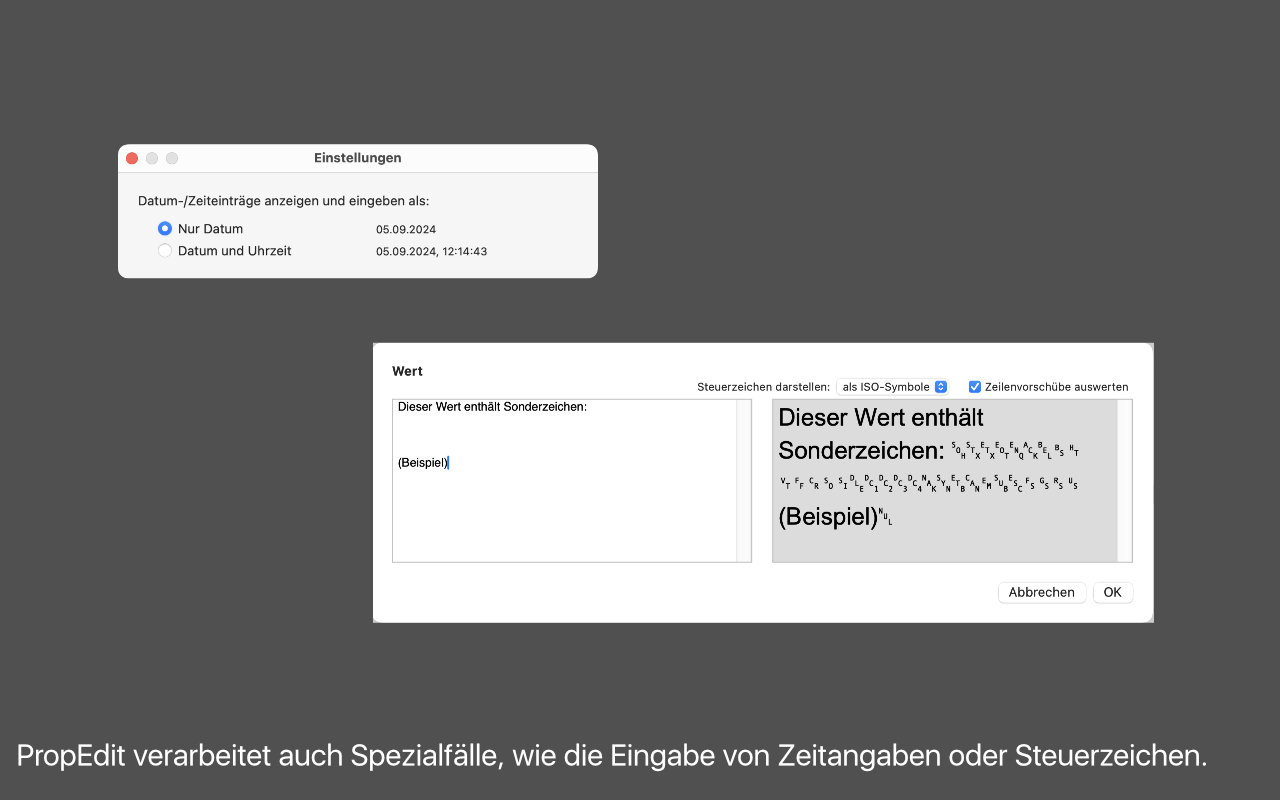 PropEdit
                verarbeitet auch Spezialfälle, wie die Eingabe von
                Zeitangaben oder Steuerzeichen.