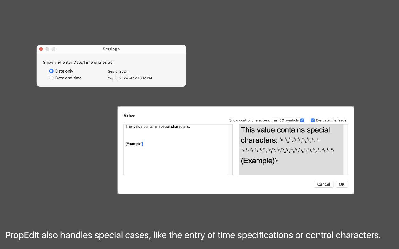 PropEdit also
                handles special cases, like the entry of time
                specifications or control characters.
