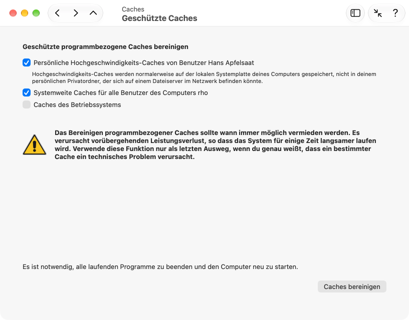 Bereinigen geschützter Caches