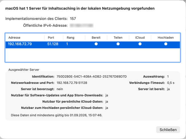 Sind Inhaltscaching-Server vorhanden, werden diese in einer Übersicht dargestellt