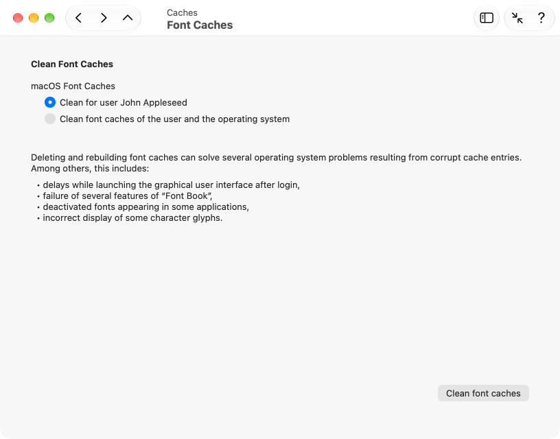 Font caches