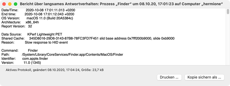 Der Inhalt eines Protokolls oder Berichts wird in einem getrennten Fenster angezeigt.