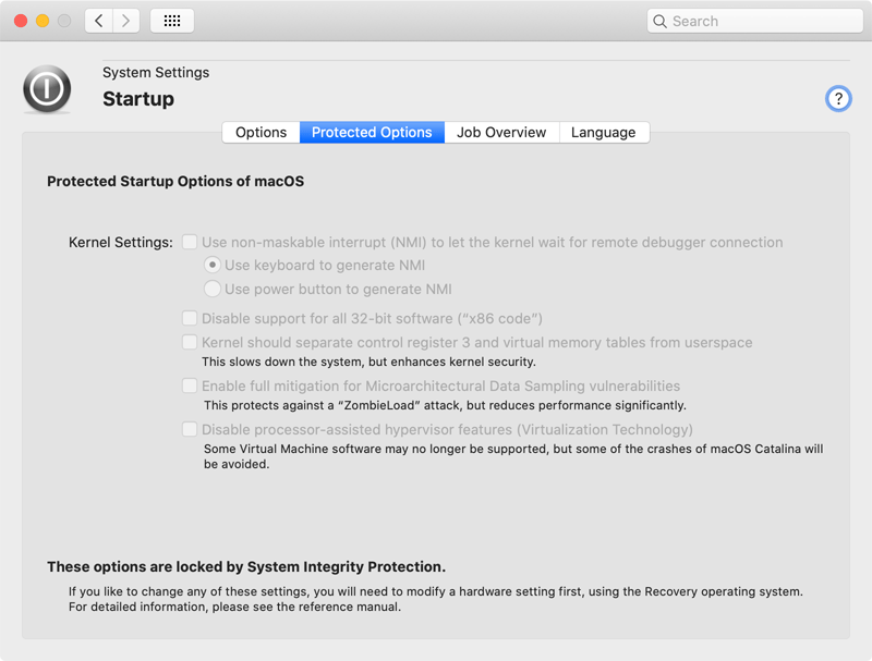 Advanced kernel settings are protected by SIP