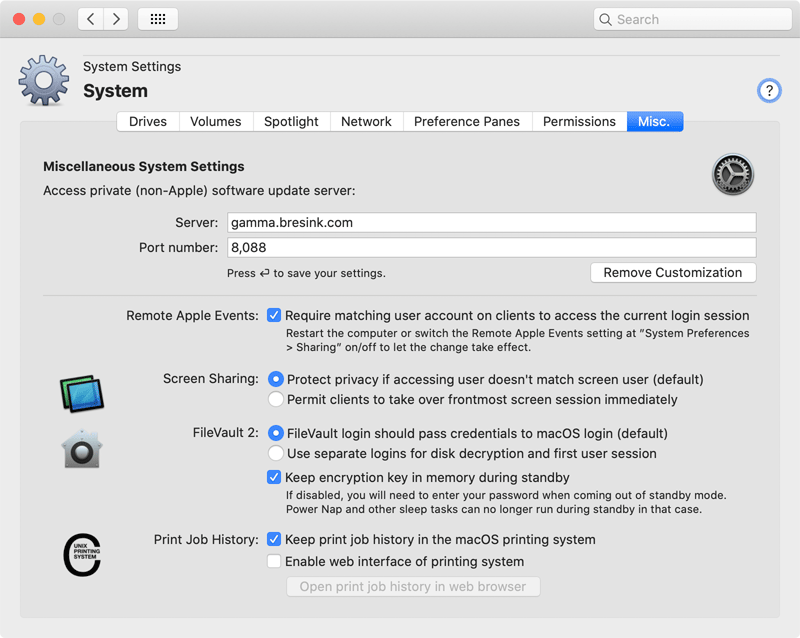 Miscellaneous System Settings (Catalina version)